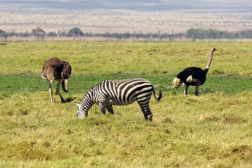 Kenia (159)